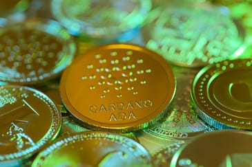 Cardano gambling